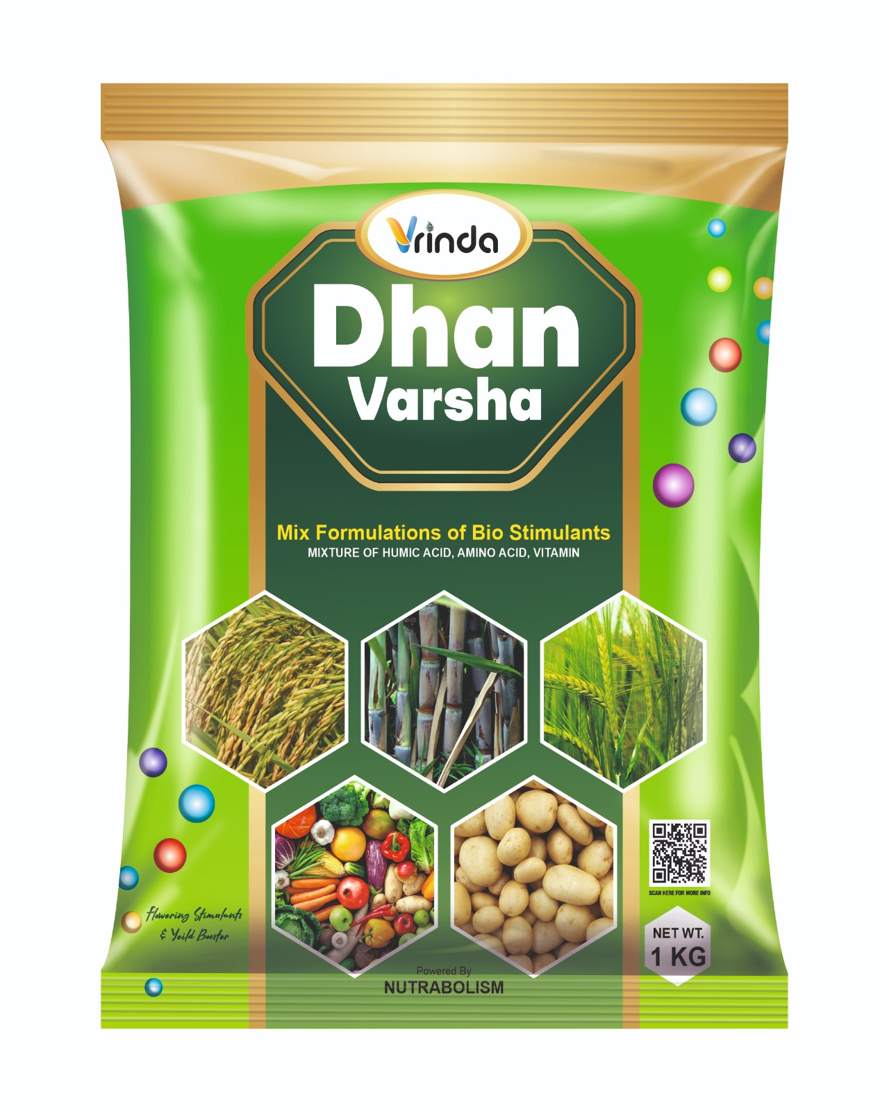 धन वर्षा